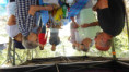 /album/ee-juin-2025-rando-repas-a-st-hippolyte/f-119-jpg/